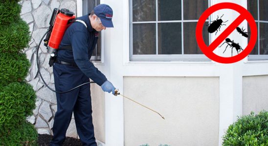 Yenifoça Uçan Haşere İlaçlama böcek ilaçlama ve haşere kontrolü — ilaclama-tr.com